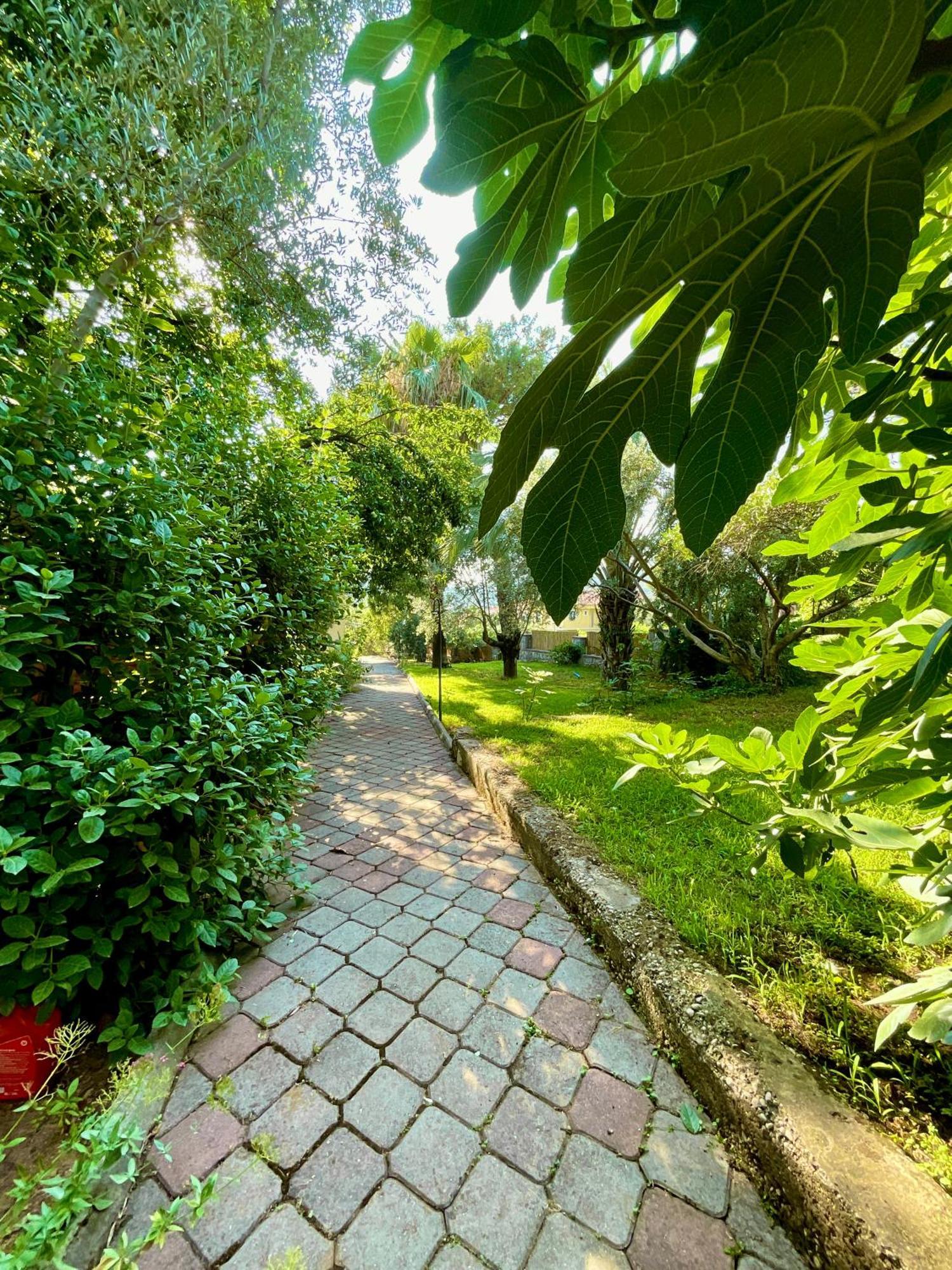 Gunes Boutique Otel Fethiye Kültér fotó